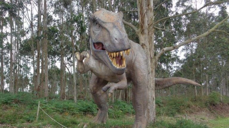 Dinosaurios en la playa de La Griega: el rastro fósil de 150 millones de años que puedes ver a pie de arena