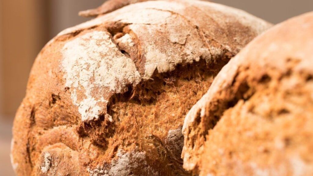 El cereal que cultivaban los astures hace más de 2.000 años vuelve a llenar las panaderías