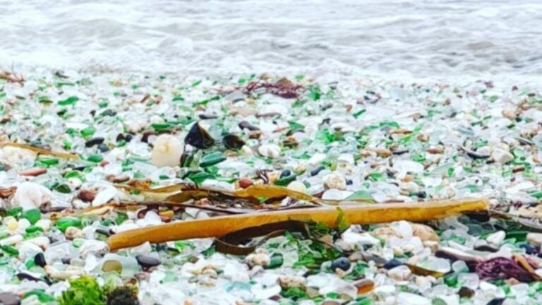 ¿Una playa sin arena? Este rincón asturiano brilla con miles de colores gracias a un 'milagro' marino.