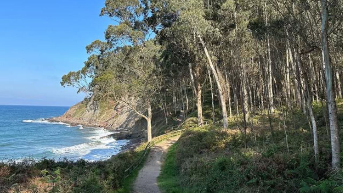 Dinosaurios en la playa de La Griega: el rastro fósil de 150 millones de años que puedes ver a pie de arena Dinosaurios en la playa de La Griega: el rastro fósil de 150 millones de años que puedes ver a pie de arena