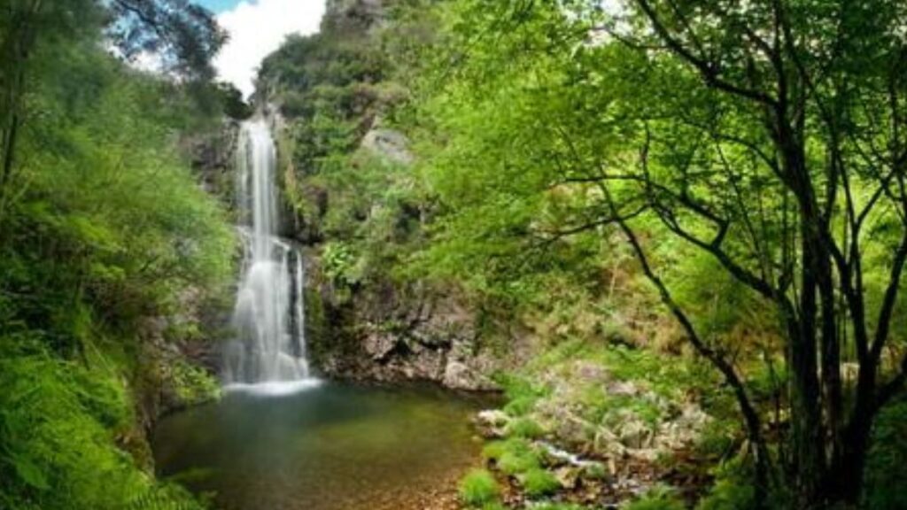 La mina oculta donde espías y nazis libraron una guerra secreta por el mineral más codiciado del mundo